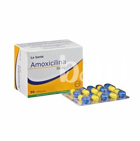 Interacciones Medicamentosas Con Amoxicilina 500 Mg